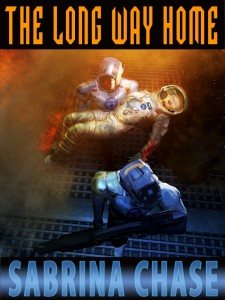 cover for The Long Way Home